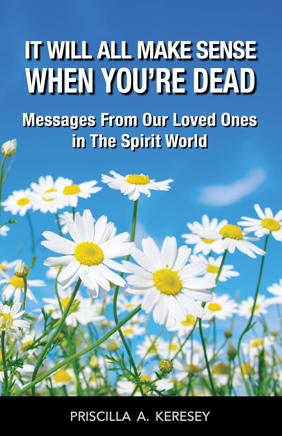 It Will All Make Sense When You're Dead: Messages from Our Loved Ones in the Spirit World authors crew